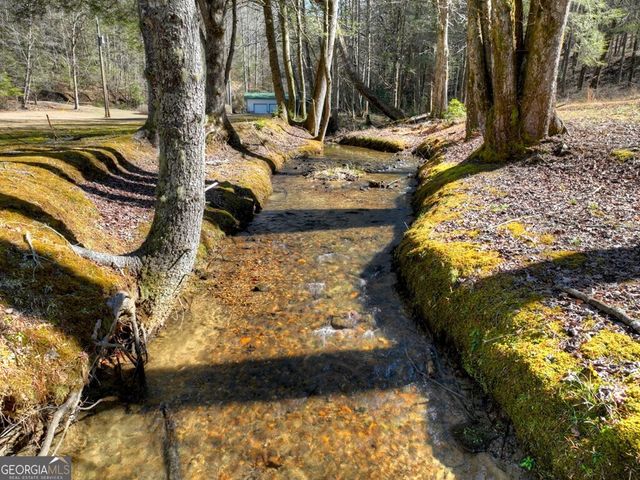 7233 Shakerag Road, Ellijay, GA 30540