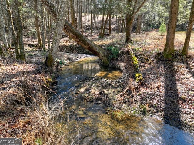 7233 Shakerag Road, Ellijay, GA 30540