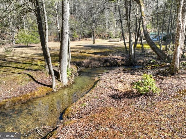 7233 Shakerag Road, Ellijay, GA 30540