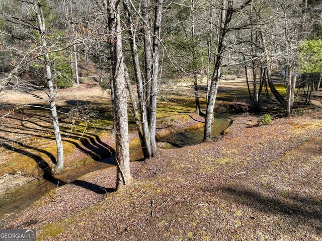 7233 Shakerag Road, Ellijay, GA 30540