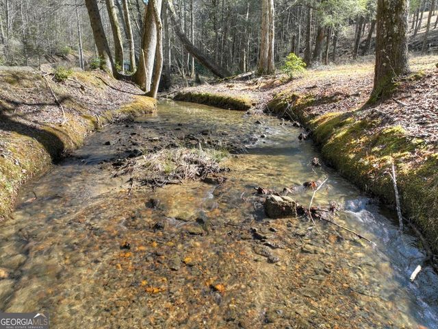 7233 Shakerag Road, Ellijay, GA 30540