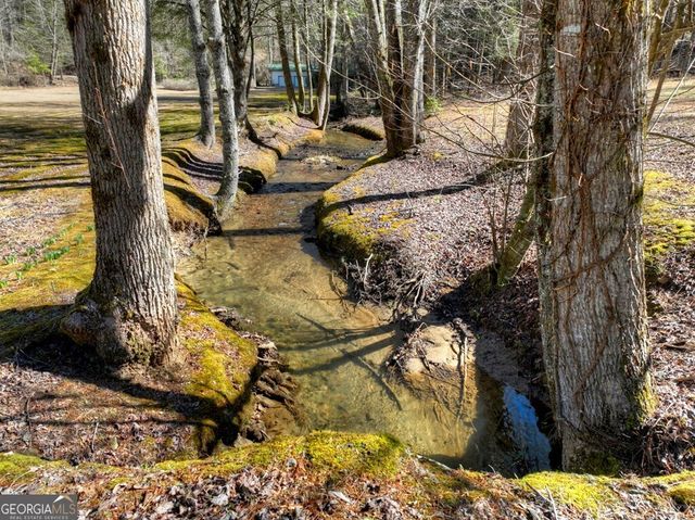 7233 Shakerag Road, Ellijay, GA 30540