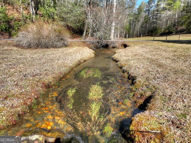 7233 Shakerag Road, Ellijay, GA 30540