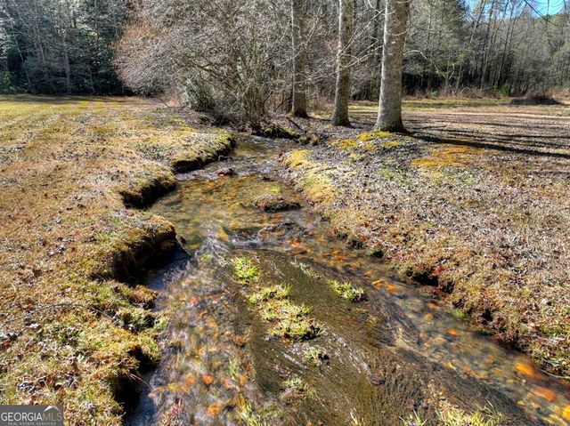 7233 Shakerag Road, Ellijay, GA 30540