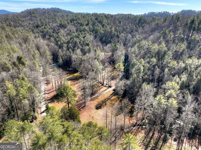 7233 Shakerag Road, Ellijay, GA 30540
