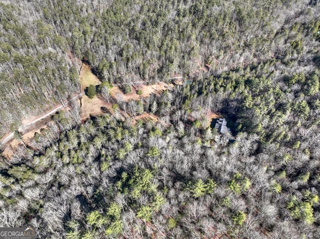 7233 Shakerag Road, Ellijay, GA 30540