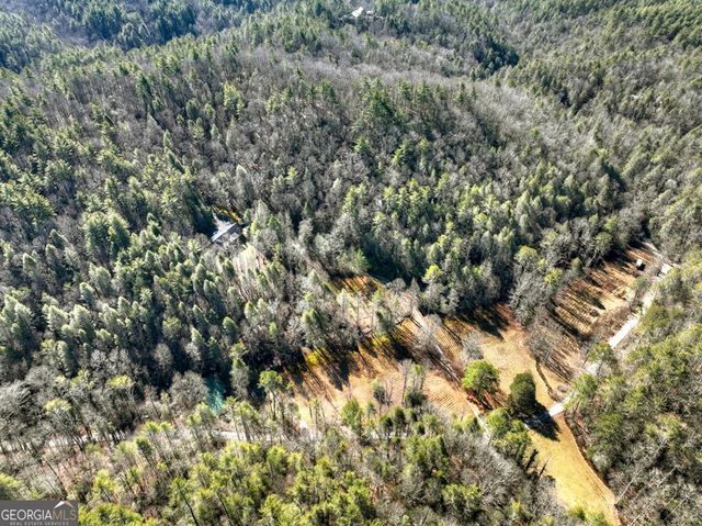 7233 Shakerag Road, Ellijay, GA 30540