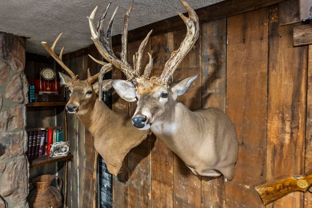 455 Davis Lane, Winchester, KY 40391