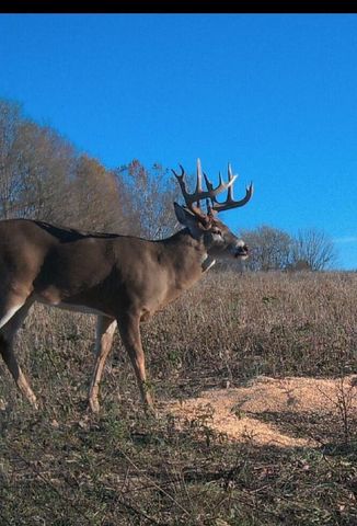 455 Davis Lane, Winchester, KY 40391