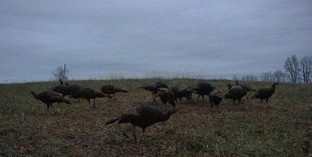 455 Davis Lane, Winchester, KY 40391