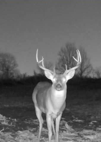 455 Davis Lane, Winchester, KY 40391