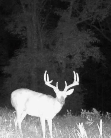 455 Davis Lane, Winchester, KY 40391