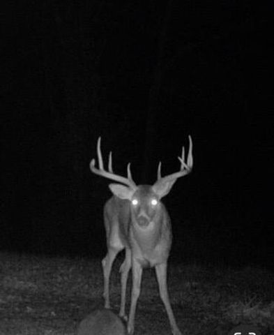 455 Davis Lane, Winchester, KY 40391