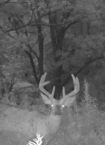 455 Davis Lane, Winchester, KY 40391