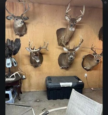 455 Davis Lane, Winchester, KY 40391