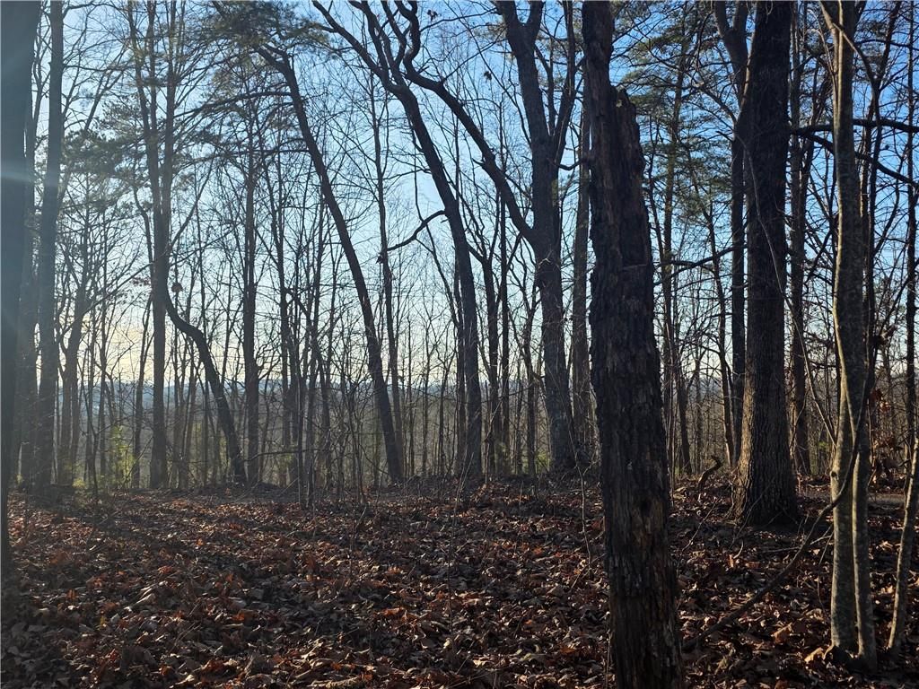 Image 1 of property listing at 0 CARTERS LAKE OVERLOOK, Ellijay, GA 30540
