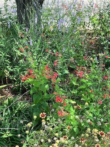 6610 Sprigg Street, Fulshear, TX 77441