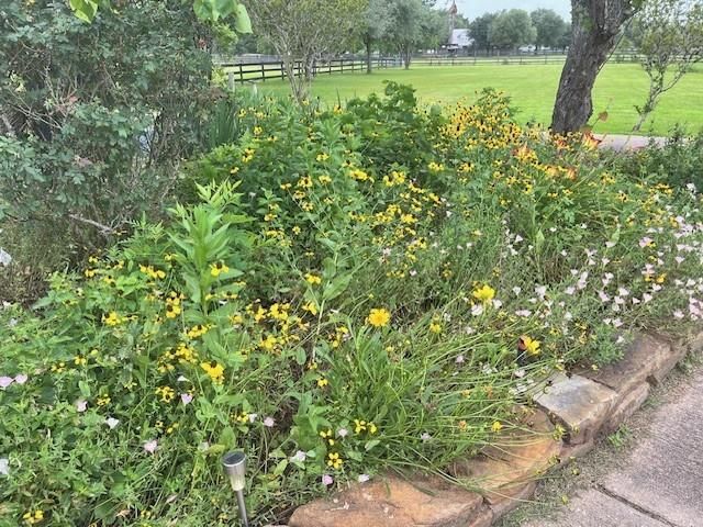 6610 Sprigg Street, Fulshear, TX 77441