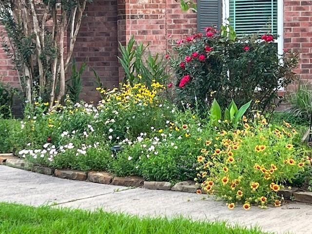 6610 Sprigg Street, Fulshear, TX 77441