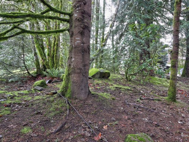 67799 E NICKLAUS Way, Welches, OR 97067