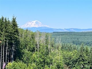 520 Red Hawk Drive, Castle Rock, WA 98611