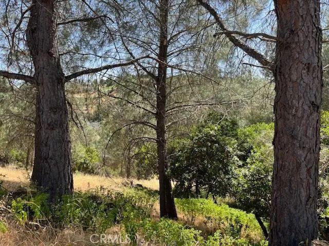 10353 Walnut, Kelseyville, CA 95451