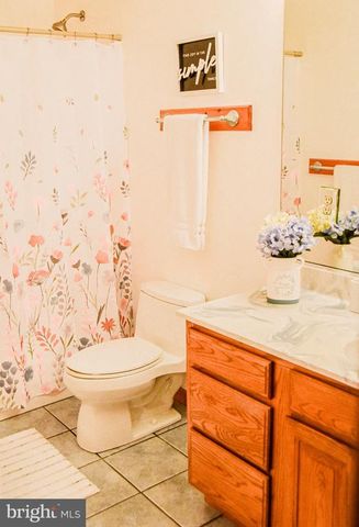 21246 CLARKS MOUNTAIN RD, Rapidan, VA 22733