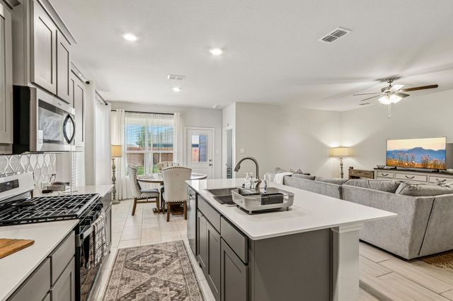 617 Amber Fields Drive, Krum, TX 76249
