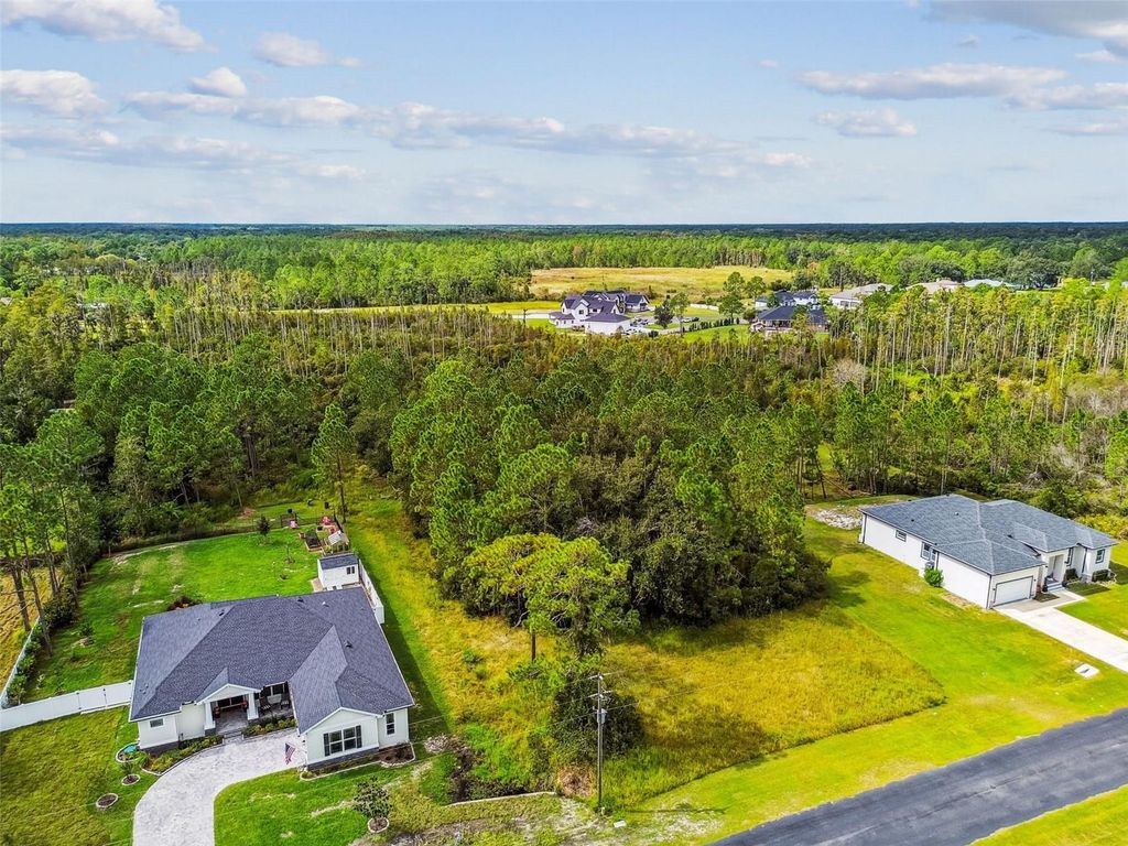 8017 WOODLEAF BOULEVARD, Wesley Chapel, FL 33544