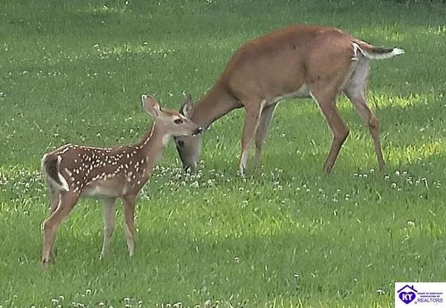 14010 Echo Hill Trail, Louisville, KY 40299