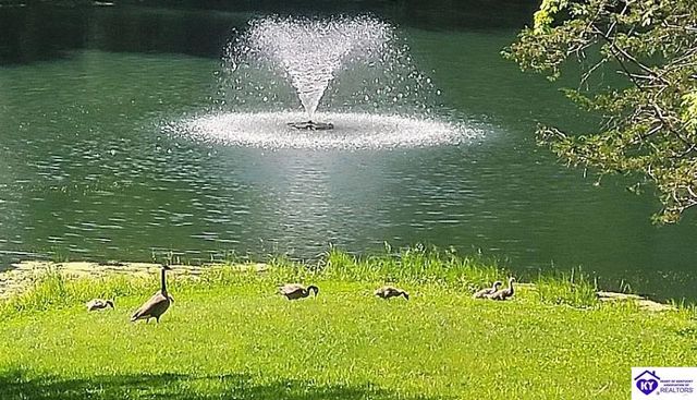 14010 Echo Hill Trail, Louisville, KY 40299