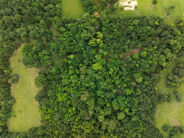 519 An County Road 450, Palestine, TX 75803