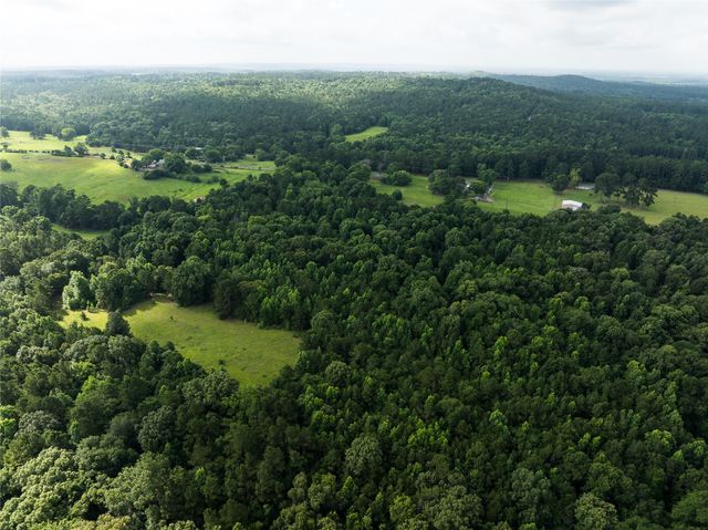 519 An County Road 450, Palestine, TX 75803
