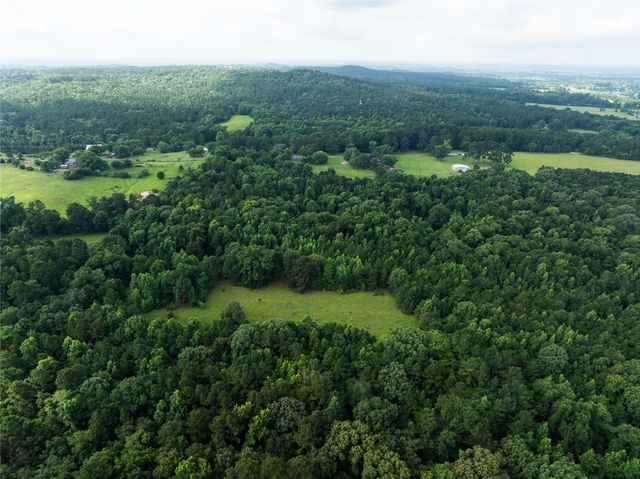 519 An County Road 450, Palestine, TX 75803