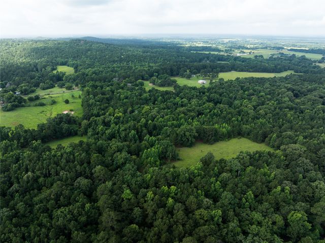 519 An County Road 450, Palestine, TX 75803