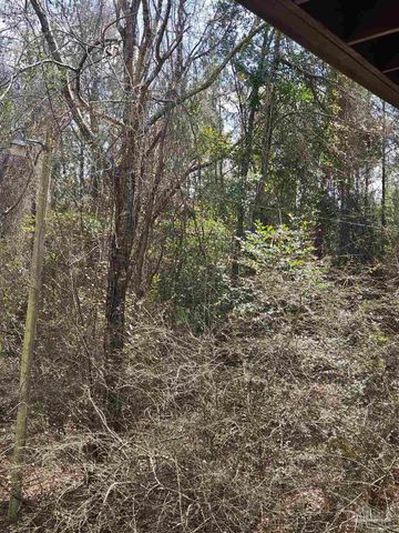 2779 Nelsontown Rd, Jay, FL 32565