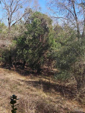 2779 Nelsontown Rd, Jay, FL 32565