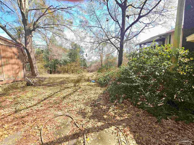 2779 Nelsontown Rd, Jay, FL 32565