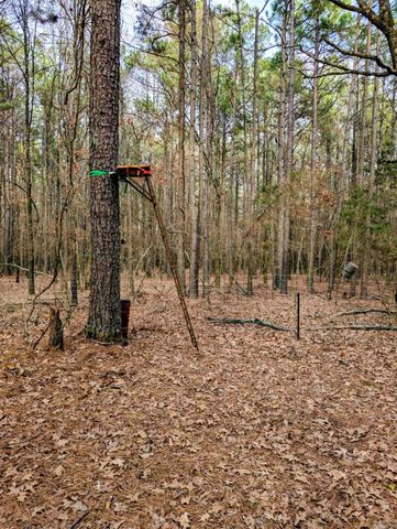 2460 Armstead Road, Star City, AR 71667