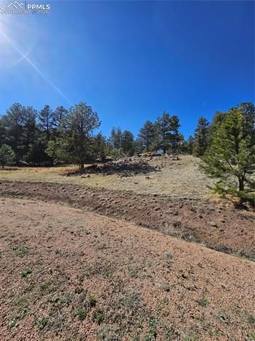 717 Canyon Drive, Florissant, CO 80816