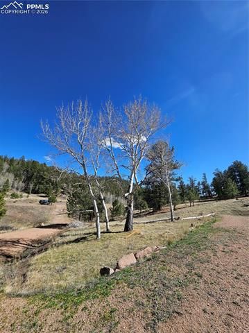 717 Canyon Drive, Florissant, CO 80816