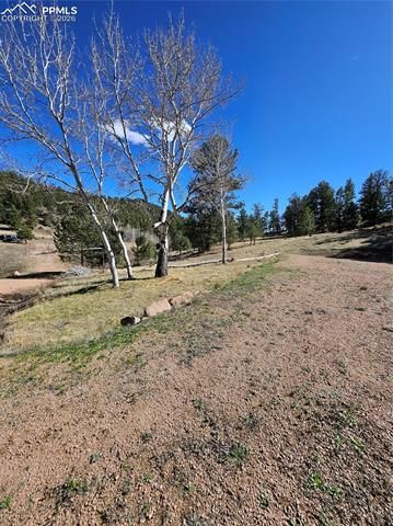 717 Canyon Drive, Florissant, CO 80816