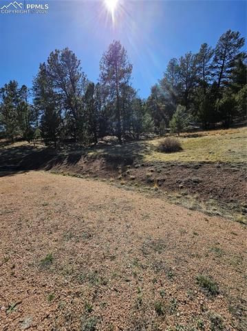 717 Canyon Drive, Florissant, CO 80816