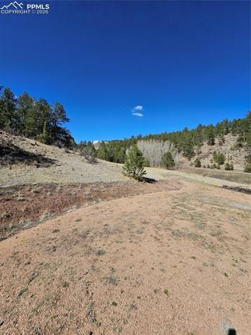 717 Canyon Drive, Florissant, CO 80816