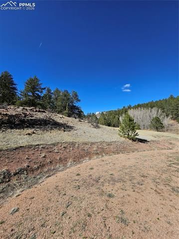 717 Canyon Drive, Florissant, CO 80816