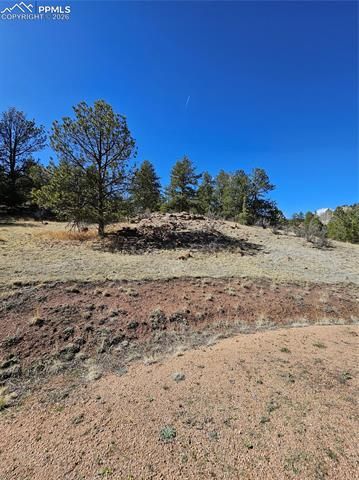 717 Canyon Drive, Florissant, CO 80816