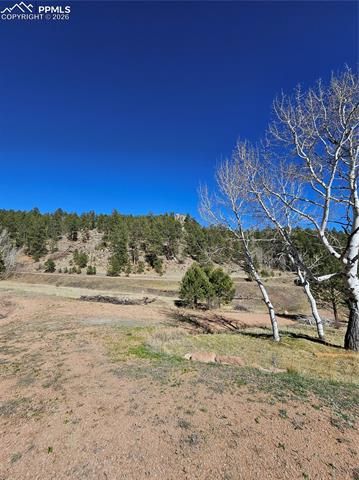 717 Canyon Drive, Florissant, CO 80816