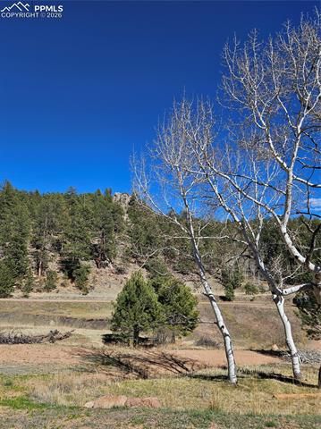 717 Canyon Drive, Florissant, CO 80816
