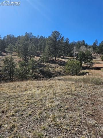 717 Canyon Drive, Florissant, CO 80816