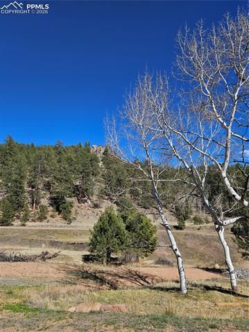717 Canyon Drive, Florissant, CO 80816